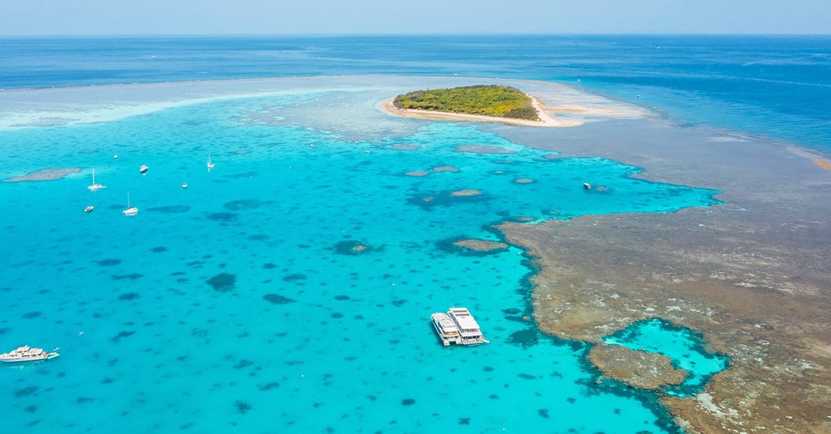 Image of Lady Musgrave Island