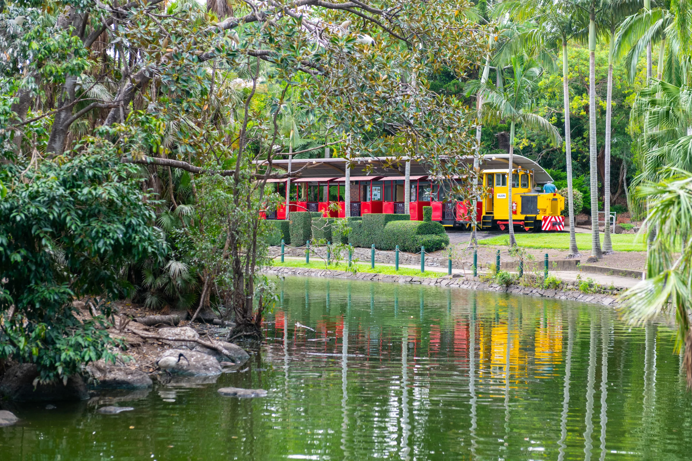 Image of Bundaberg Botanic Gardens